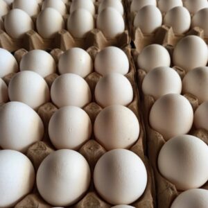 Huevos Pastoriles